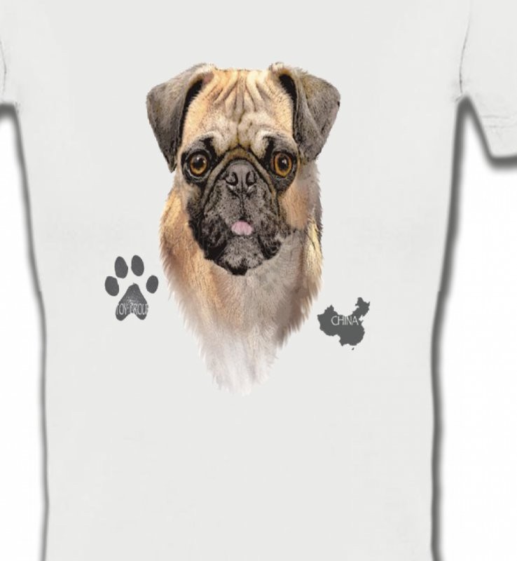 Carlin Pug (E)