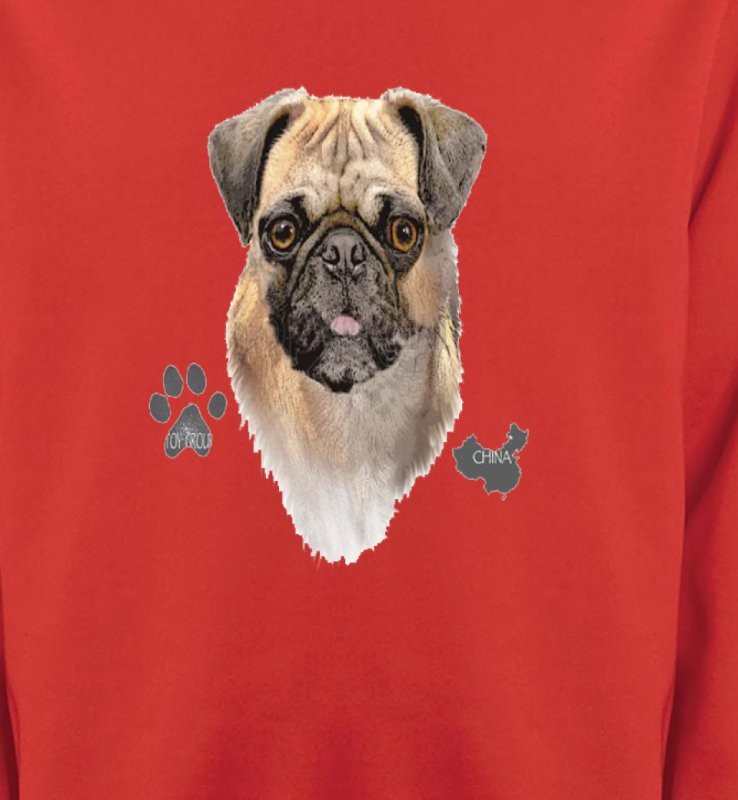 Carlin Pug (E)