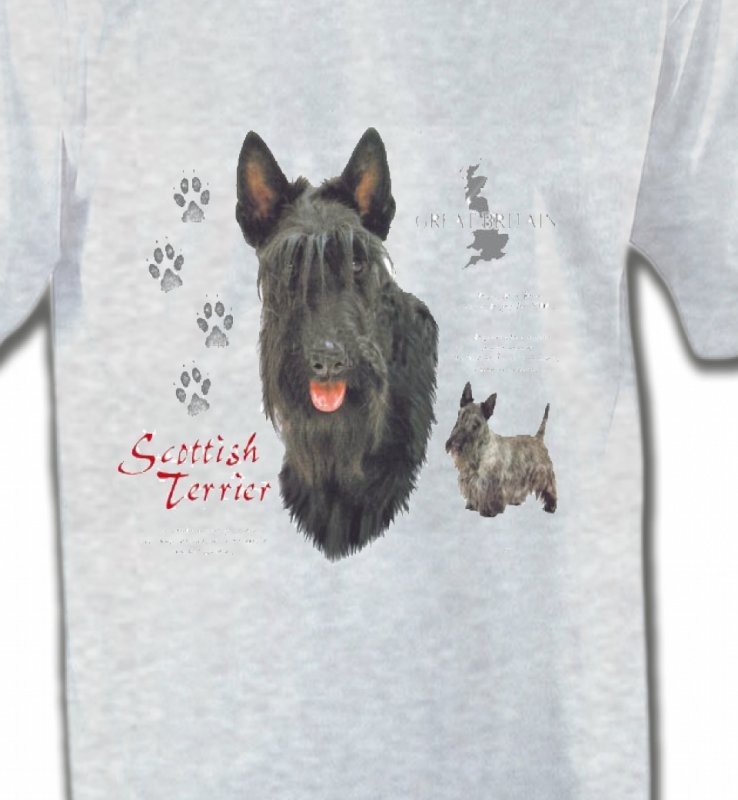 Terrier écossais (A)