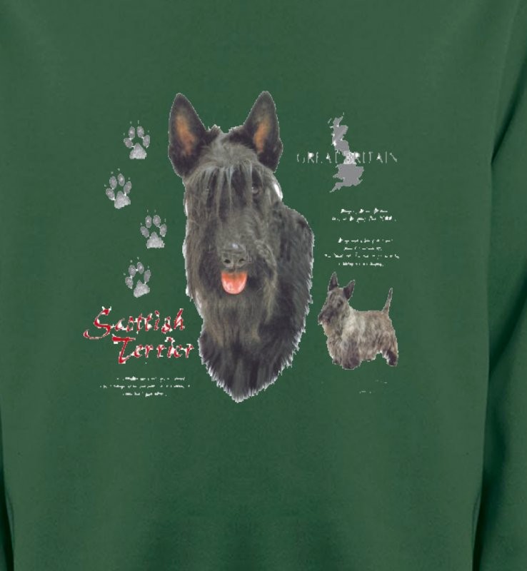 Terrier écossais (A)