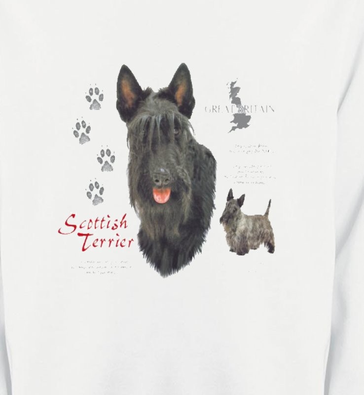 Terrier écossais (A)