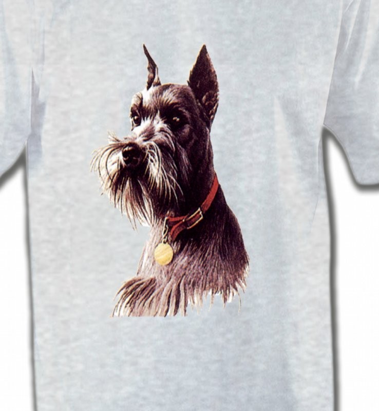 Schnauzer (A)