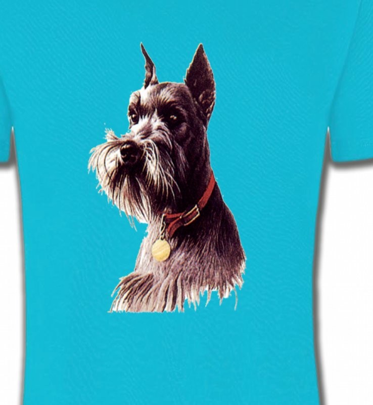 Schnauzer (A)