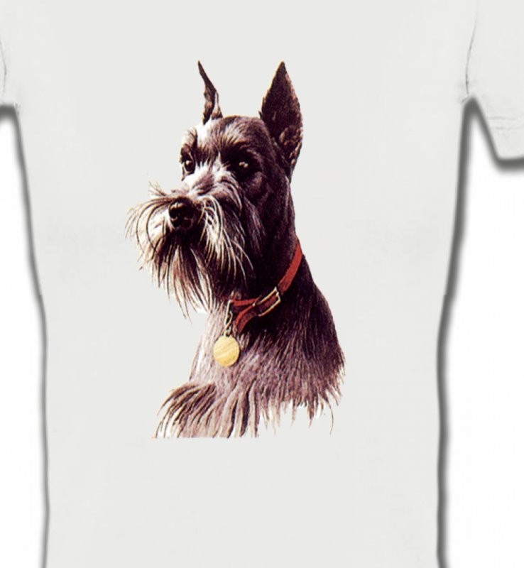 Schnauzer (A)
