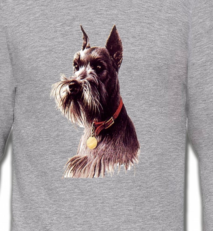 Schnauzer (A)