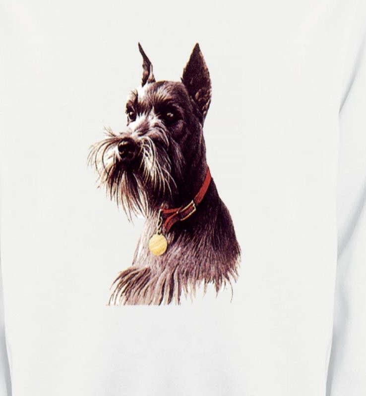 Schnauzer (A)