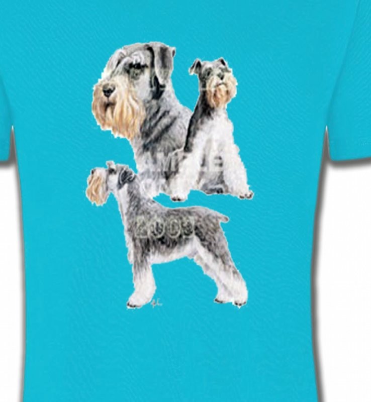 Schnauzer (C)