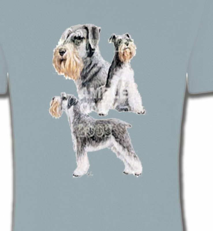 Schnauzer (C)