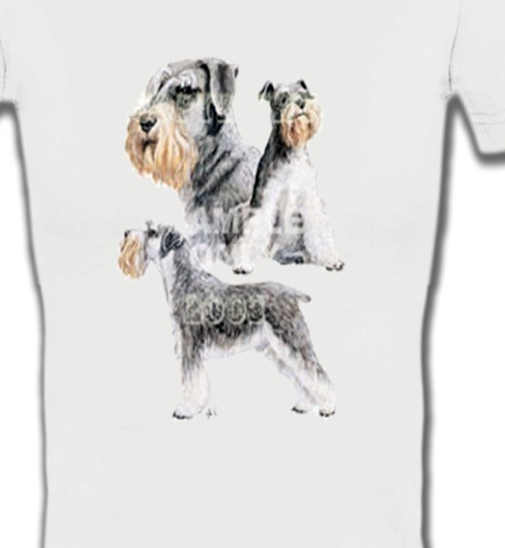 Schnauzer (C)