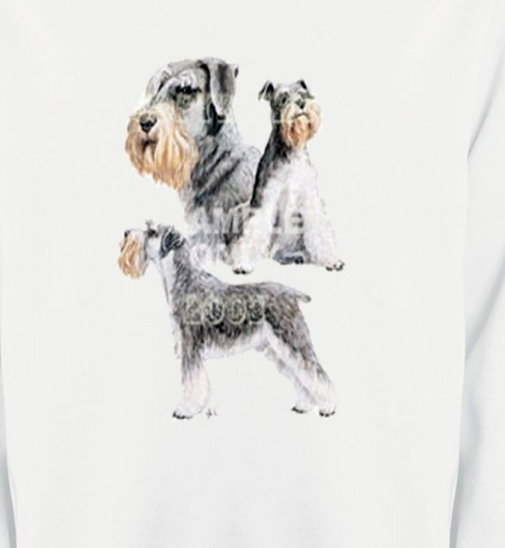 Schnauzer (C)