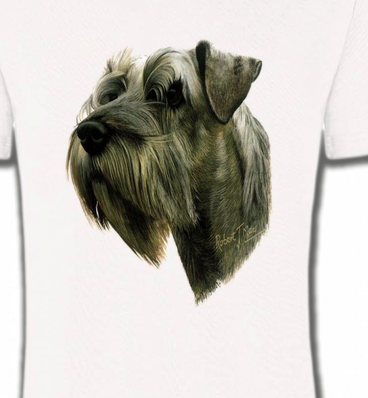 Schnauzer (G)
