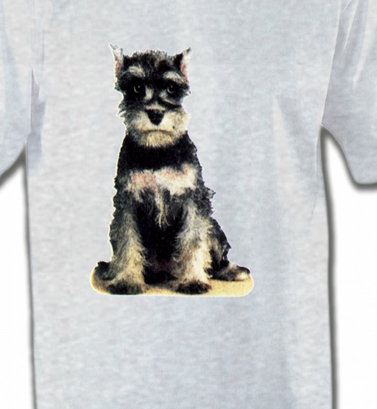 Schnauzer bébé (E)