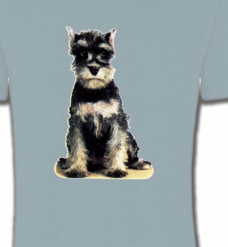 Schnauzer bébé (E)