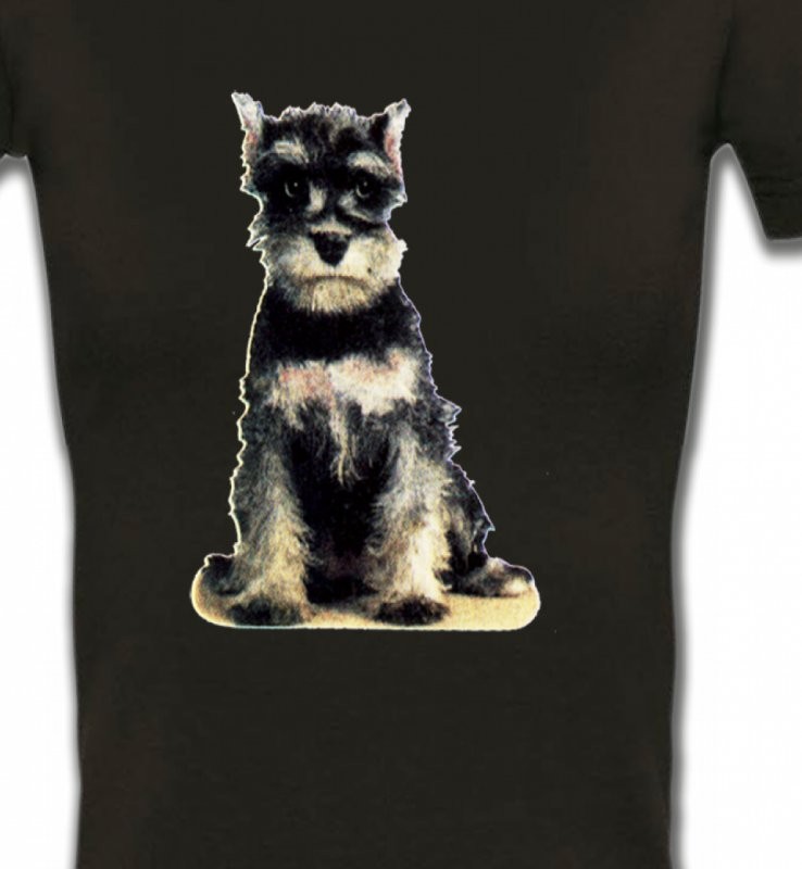 Schnauzer bébé (E)