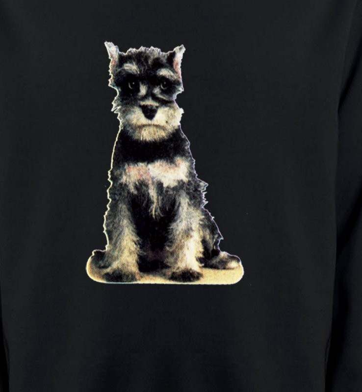 Schnauzer bébé (E)