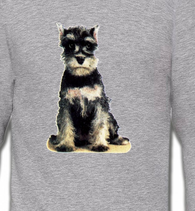 Schnauzer bébé (E)