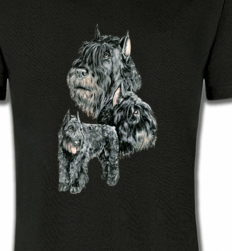 Schnauzer gris