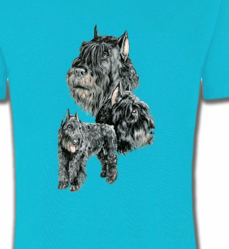 Schnauzer gris