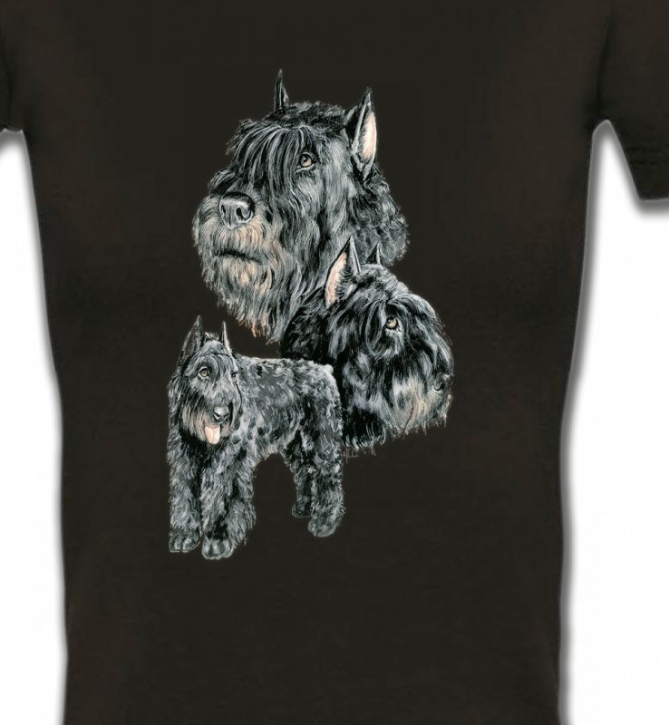 Schnauzer gris