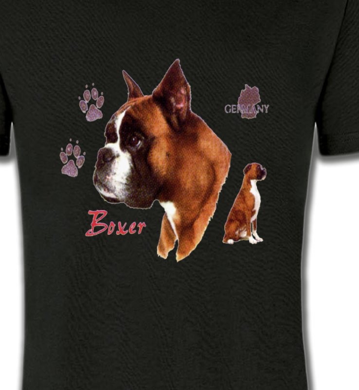Boxer (H)