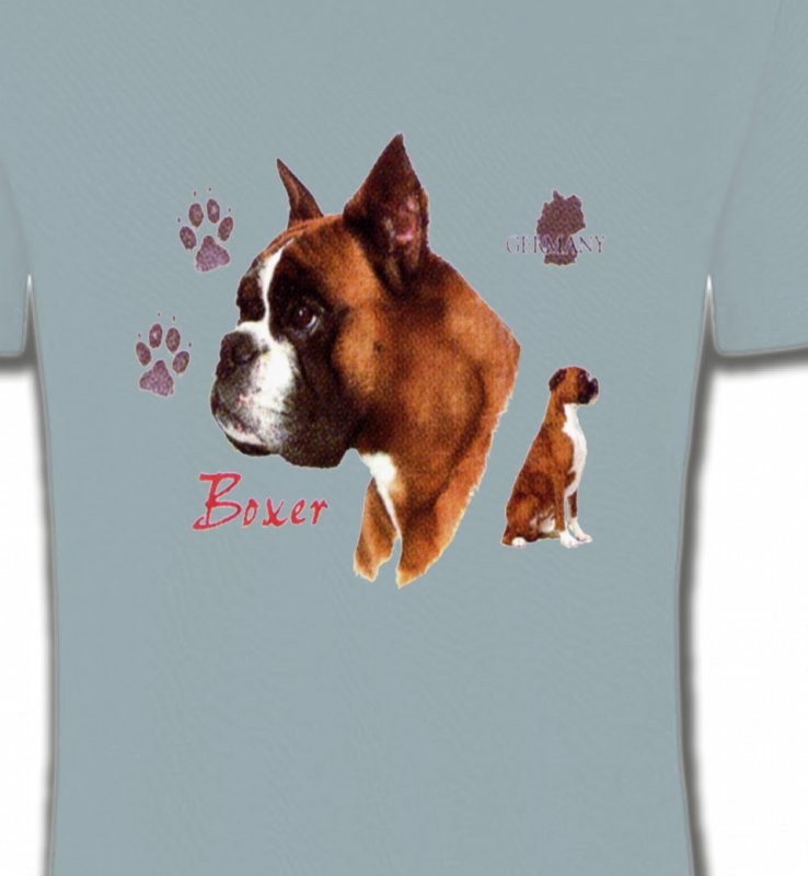 Boxer (H)