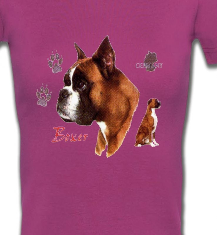 Boxer (H)