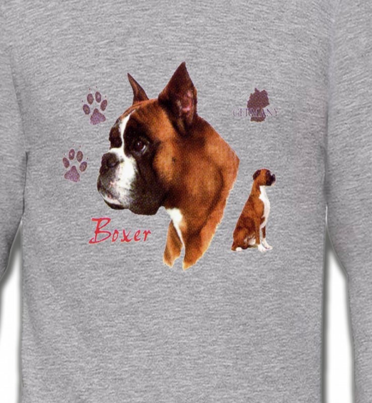 Boxer (H)