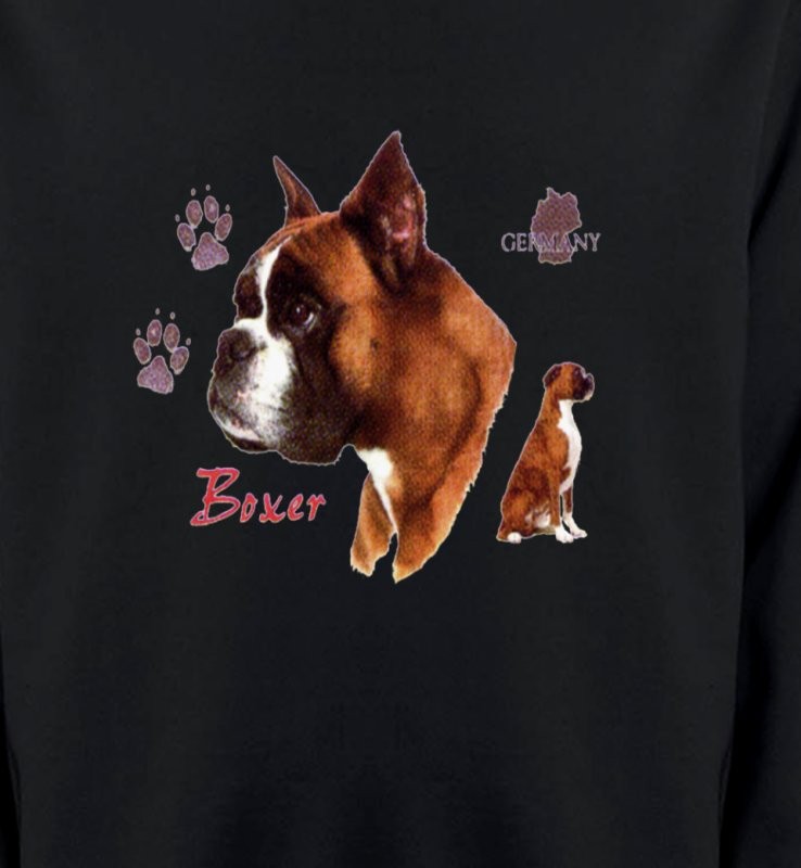 Boxer (H)
