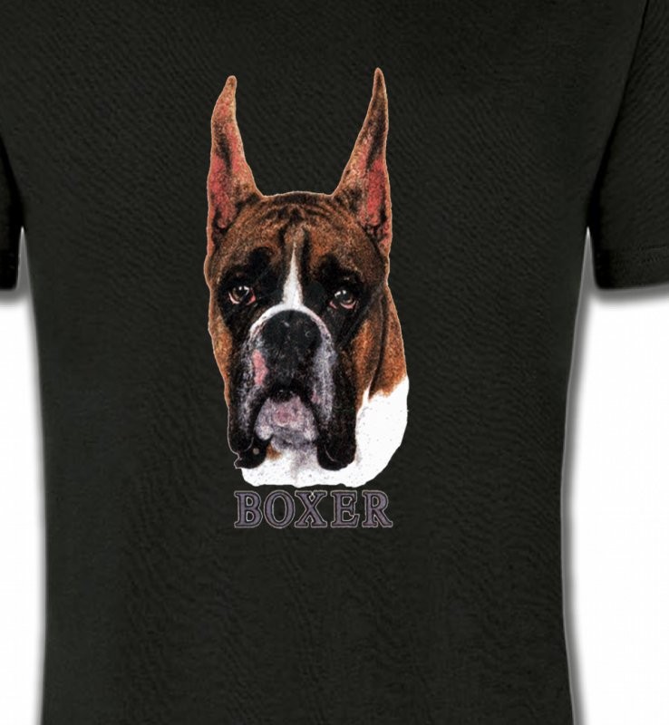 Boxer (A)