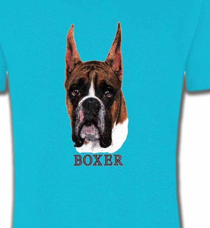 Boxer (A)