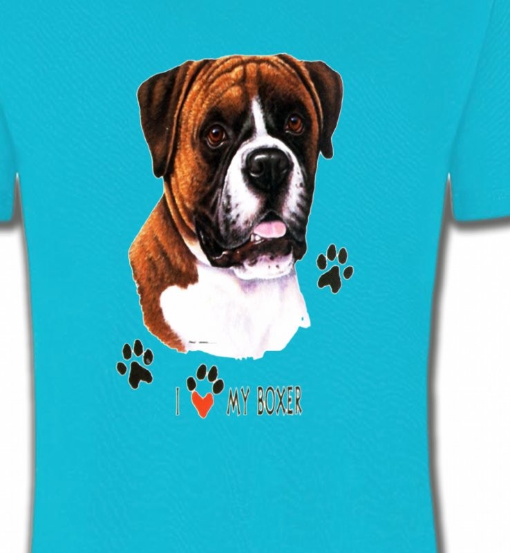 Boxer brun et blanc (B)