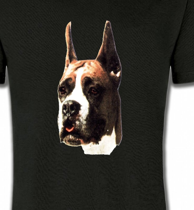 Boxer (C)