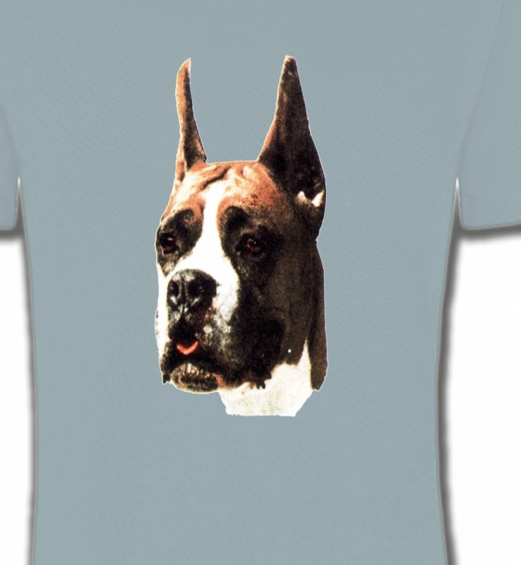 Boxer (C)