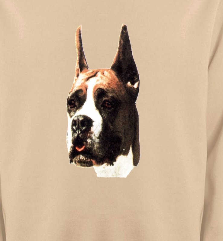 Boxer (C)