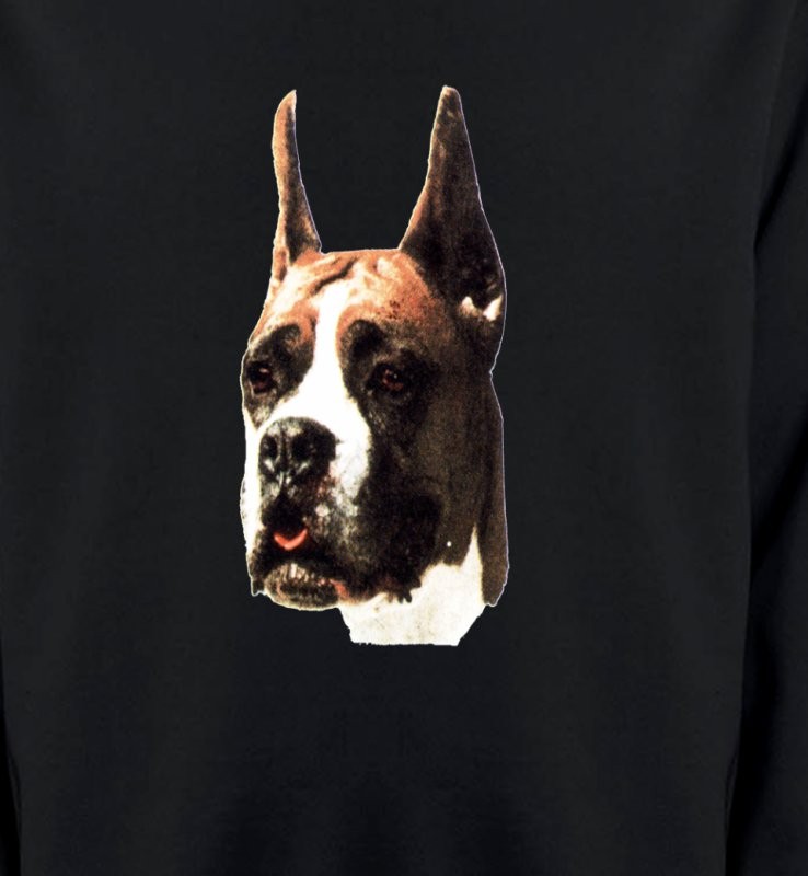 Boxer (C)
