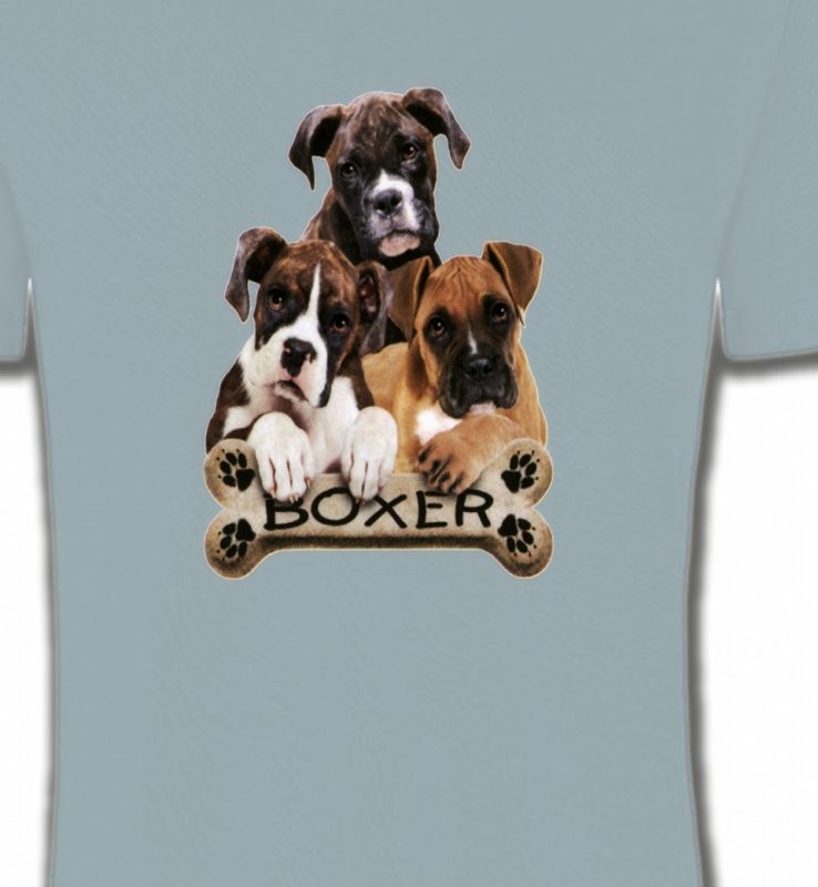 Trois Boxers (D)