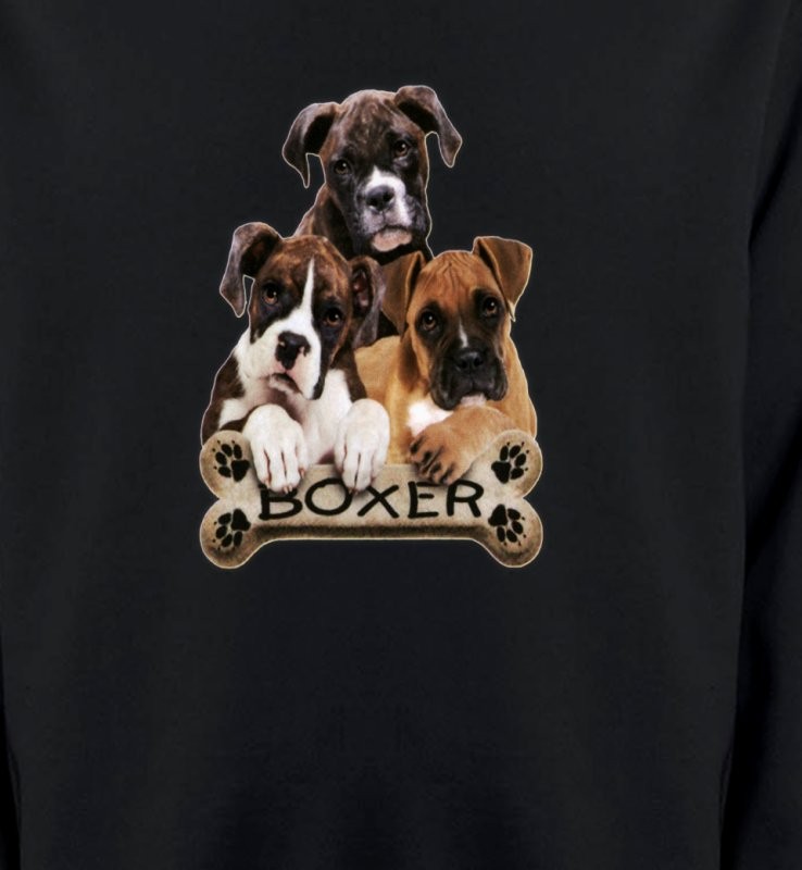 Trois Boxers (D)