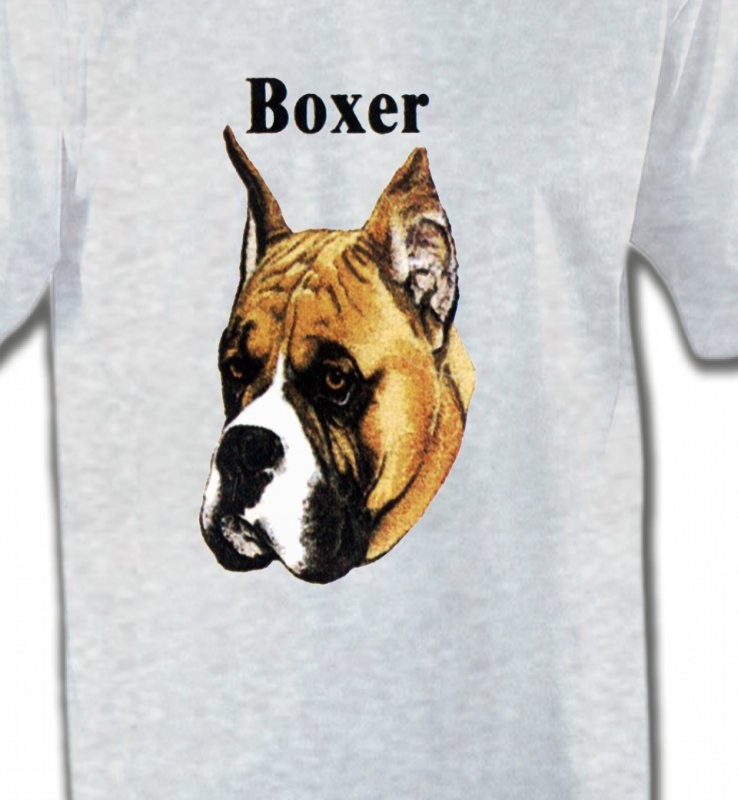 Boxer (E)