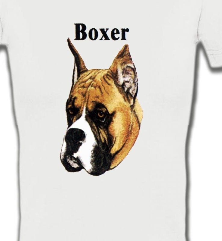 Boxer (E)