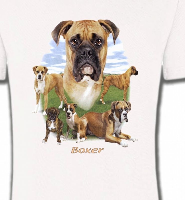 Boxers (G)