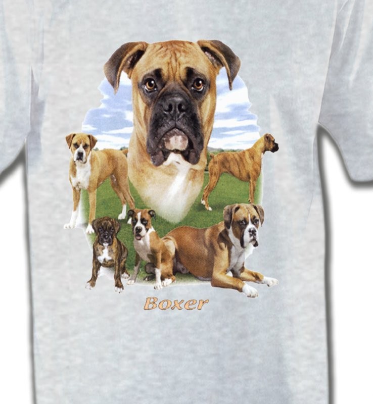 Boxers (G)