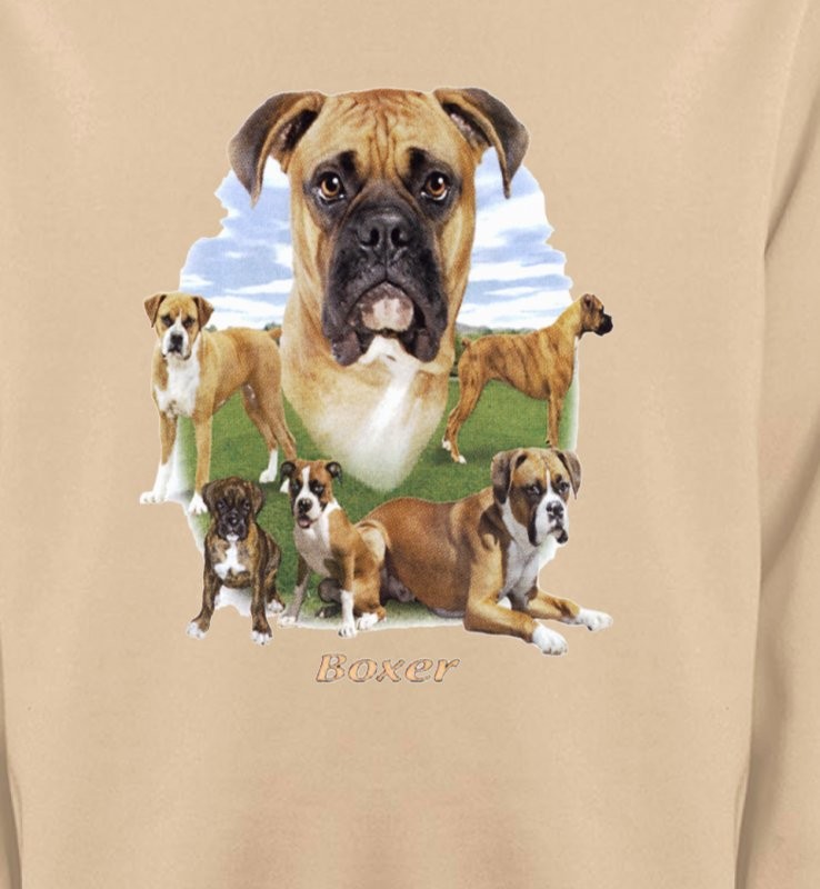 Boxers (G)
