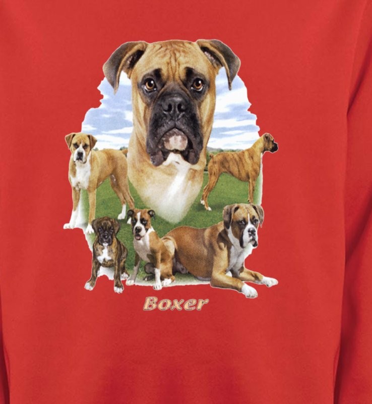 Boxers (G)