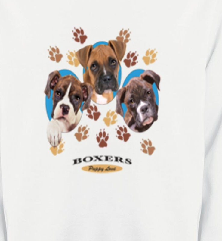 Chiots Boxers (N)