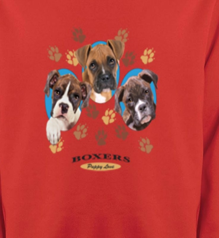 Chiots Boxers (N)