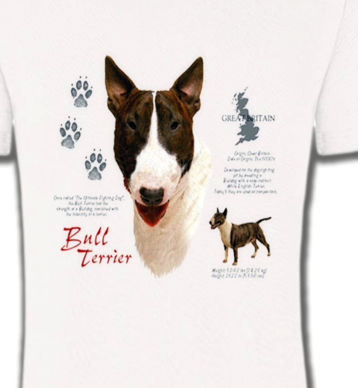 Bull Terrier (E)
