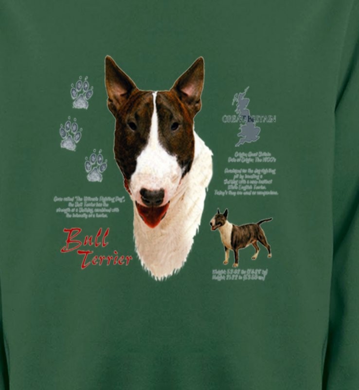 Bull Terrier (E)