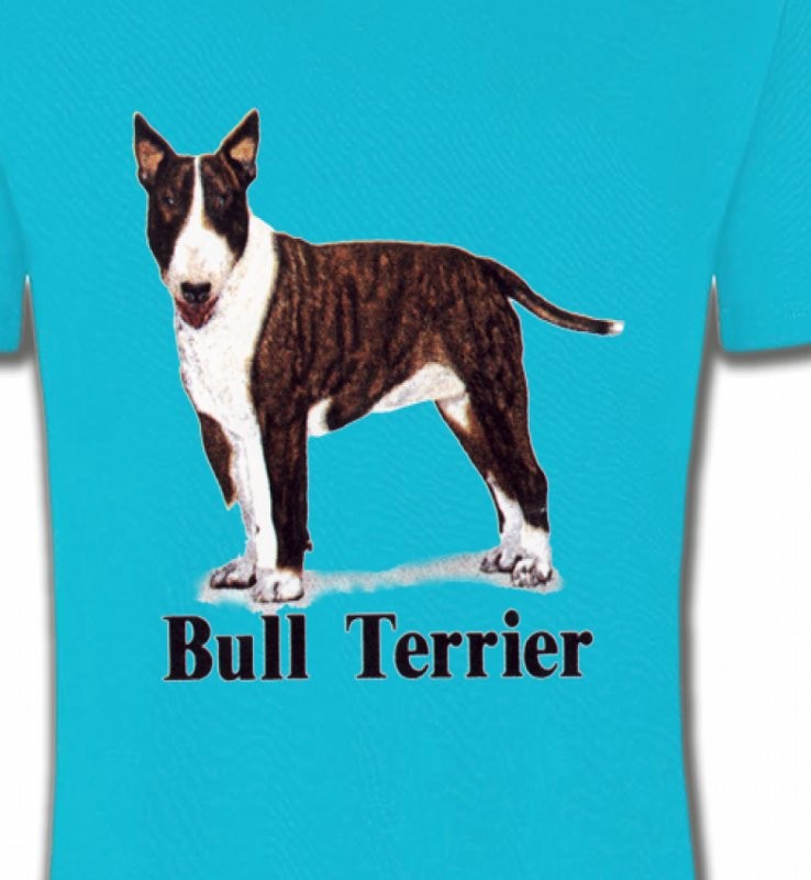 Bull Terrier (D)