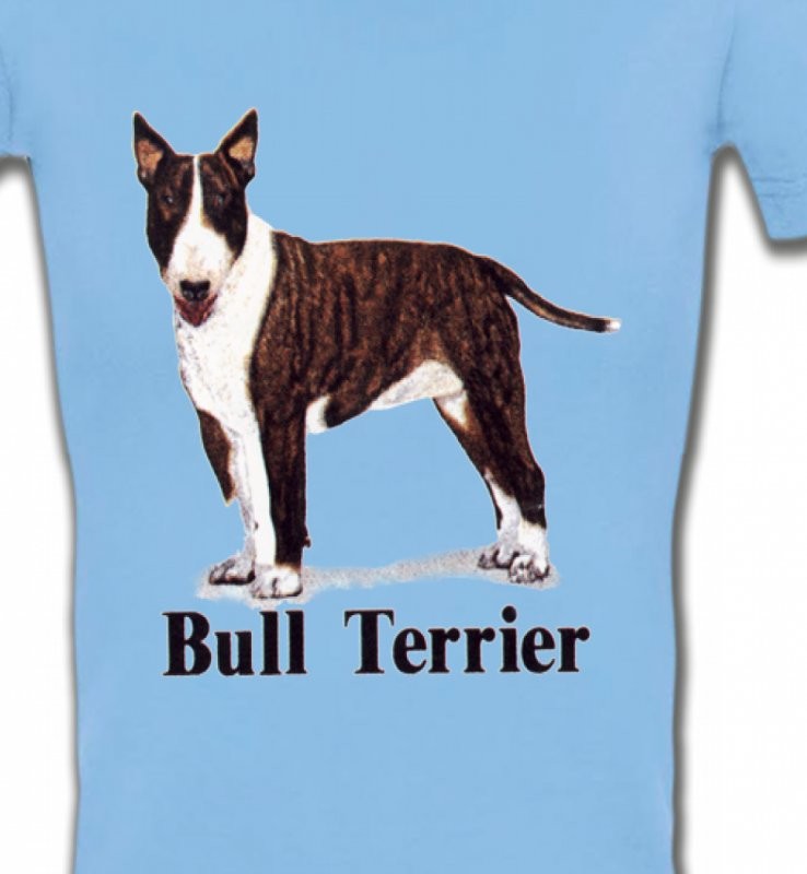 Bull Terrier (D)