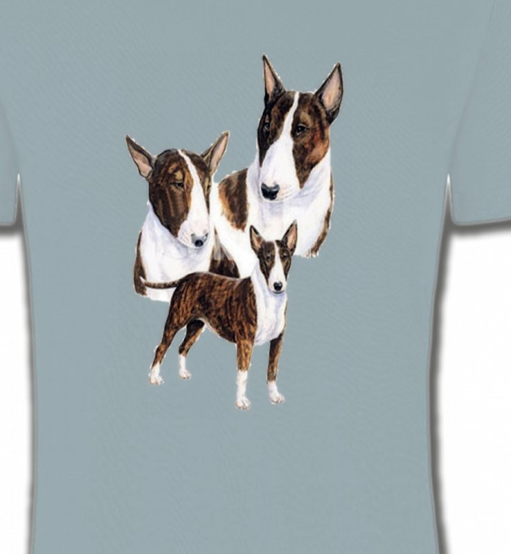 Bull Terrier (H)